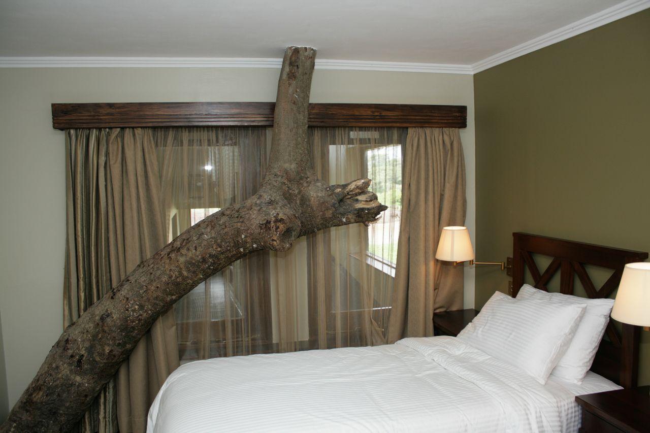 Treetops Mweiga Rom bilde