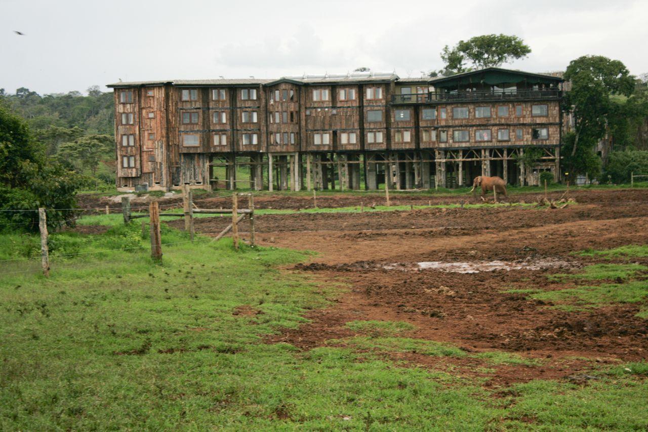 Treetops Mweiga Eksteriør bilde
