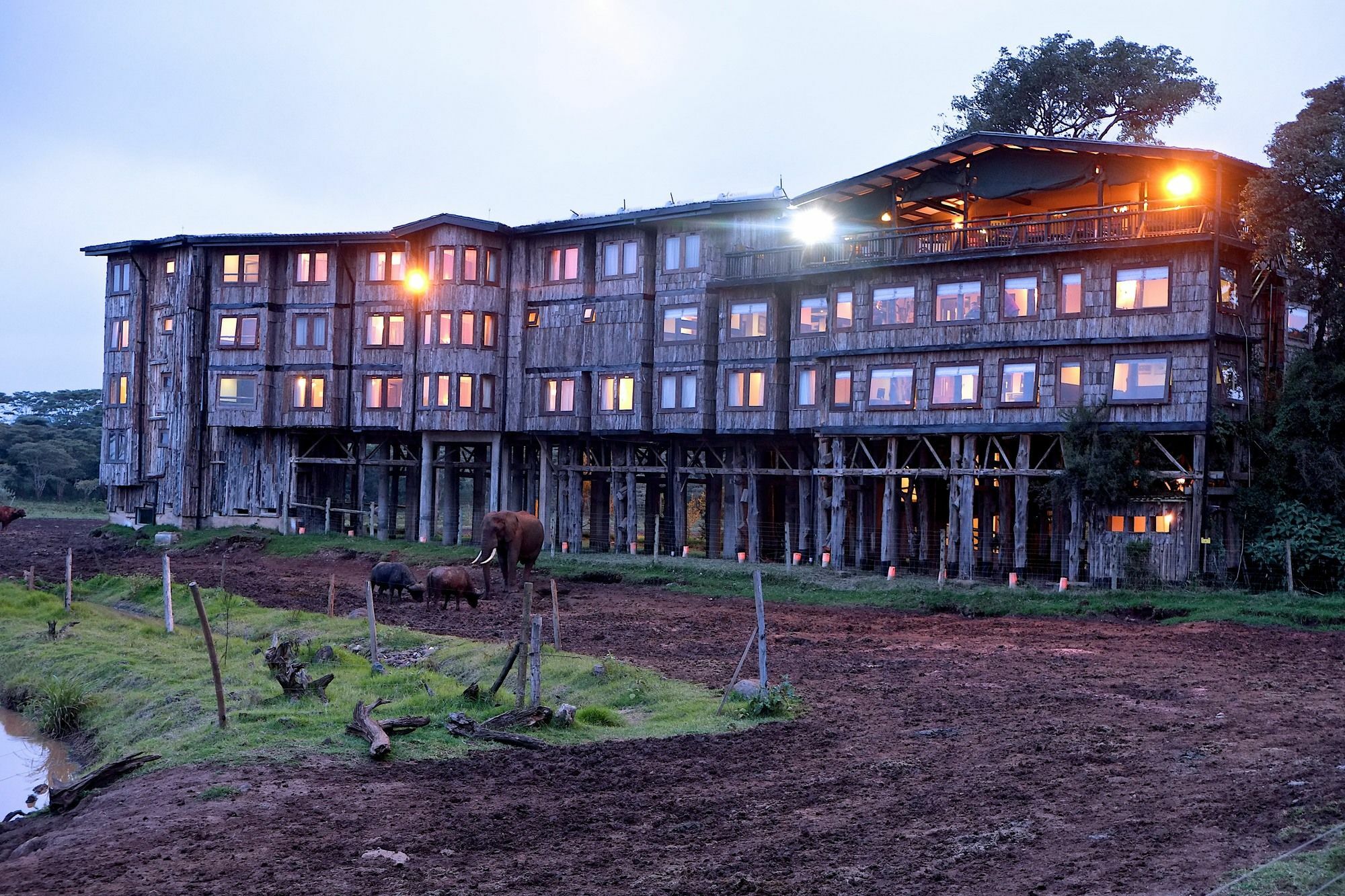 Treetops Mweiga Eksteriør bilde