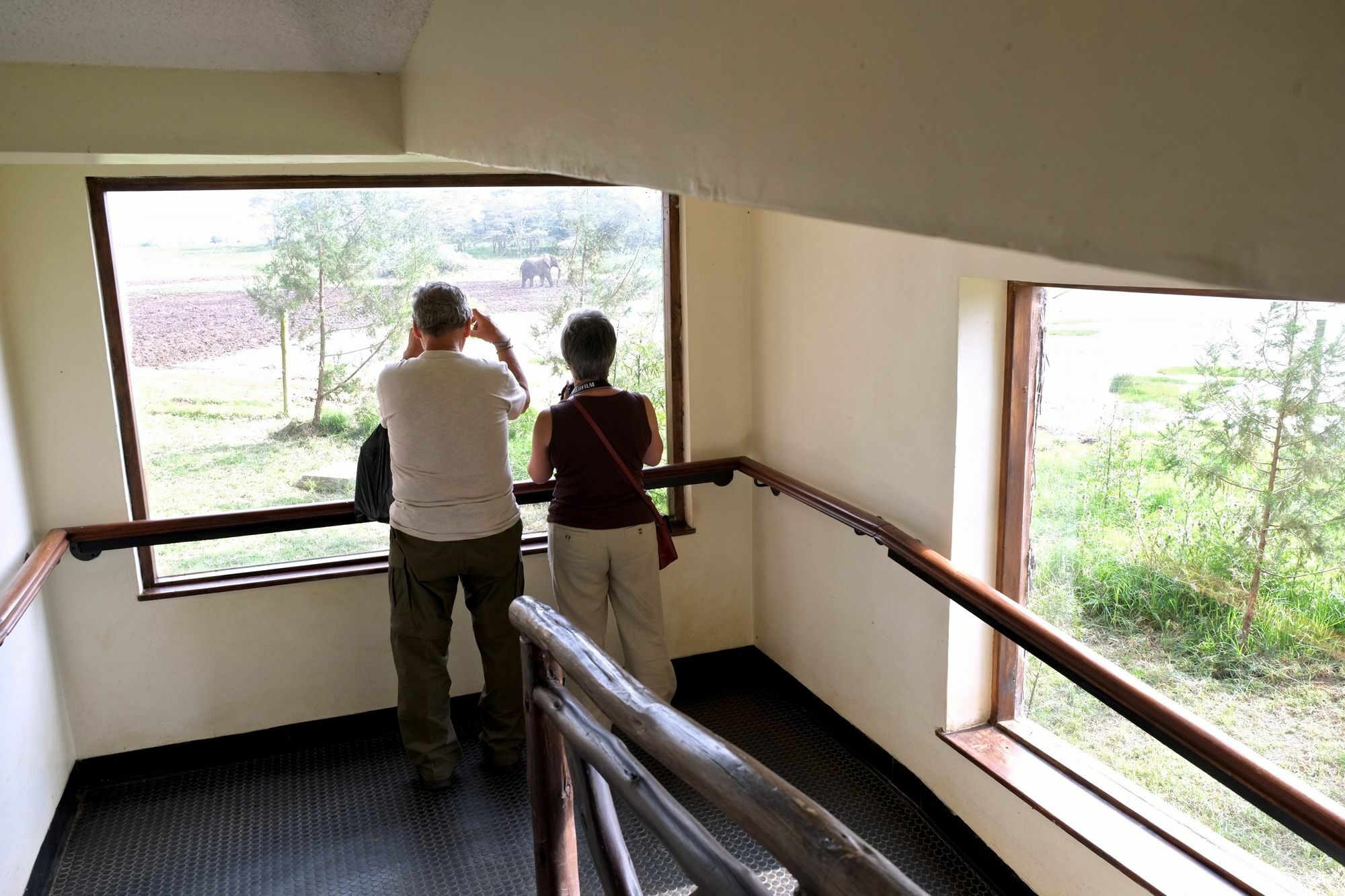 Treetops Mweiga Eksteriør bilde